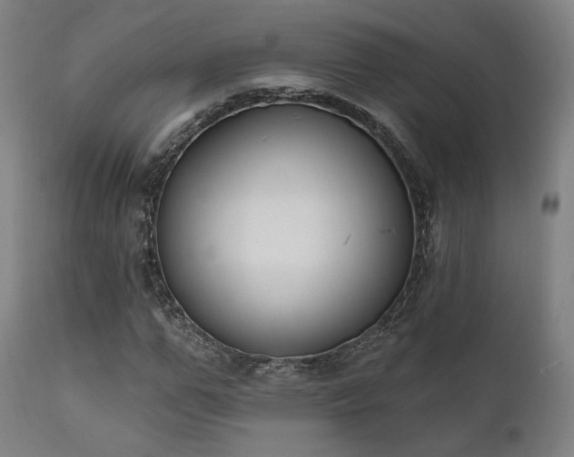 X0000111800967200907231206