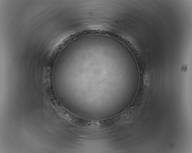 X0000111800968200907231206