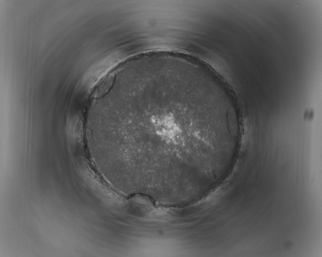 X0000111800969200907231206