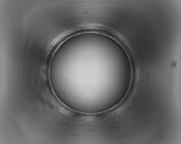 X0000111800970200907231206