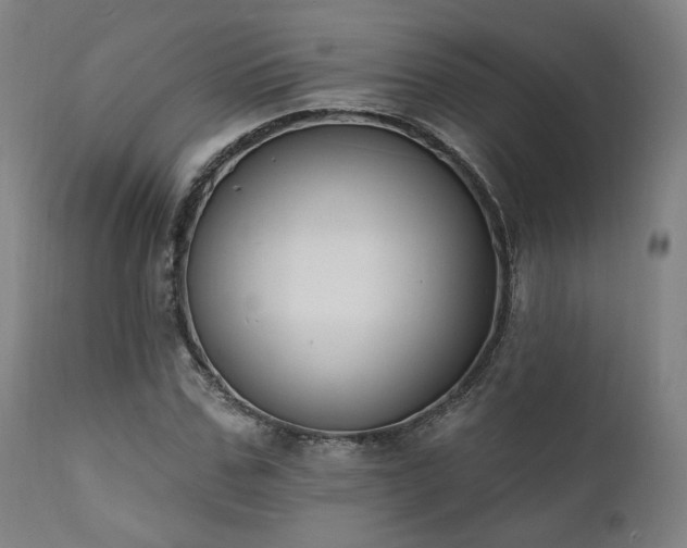 X0000111800971200907231206