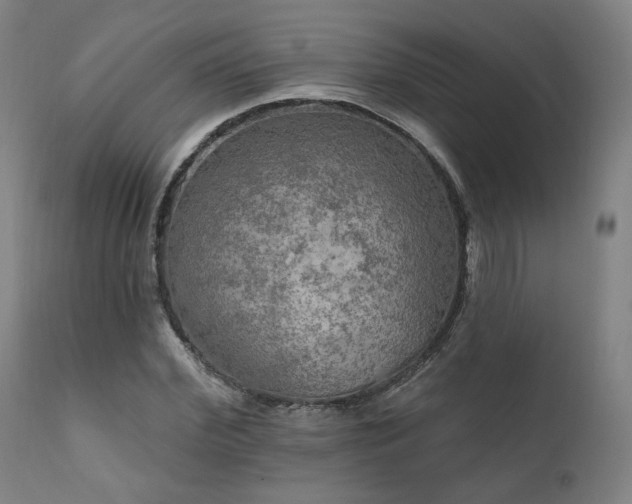 X0000111800972200907231206