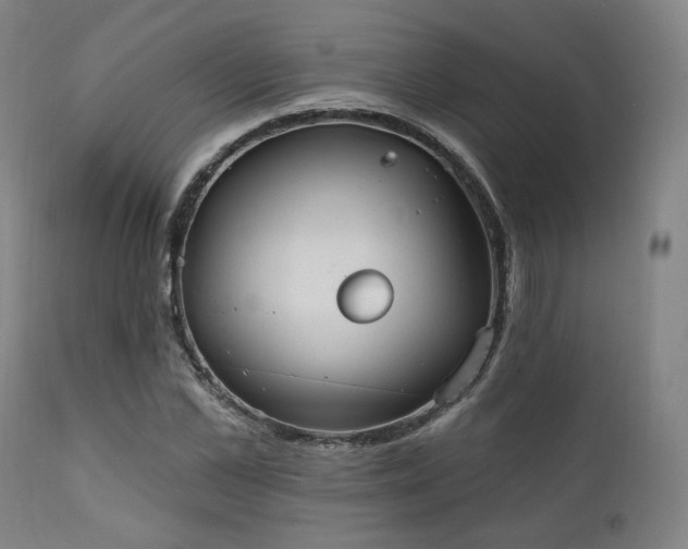 X0000111800973200907231206