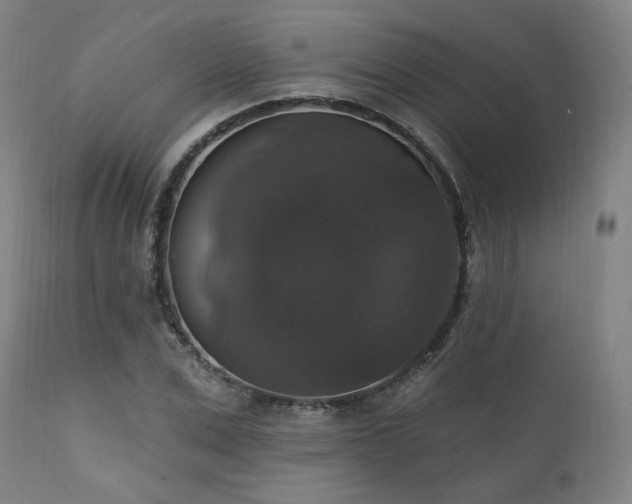 X0000111800975200907231206