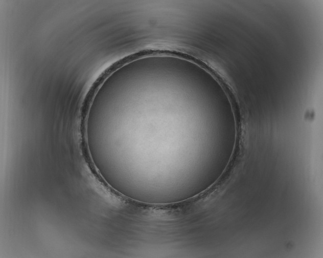 X0000111800976200907231206