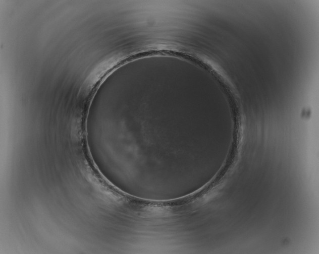 X0000111800977200907231206