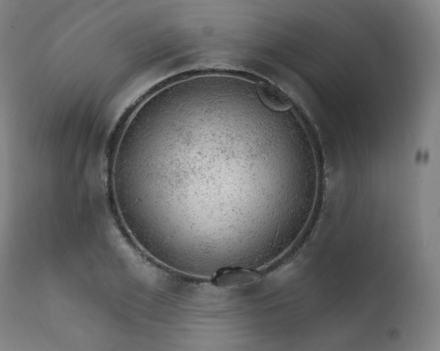 X0000111800981200907231206