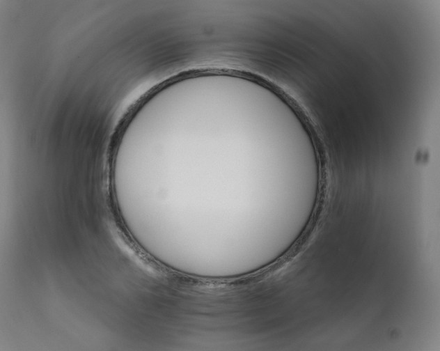 X0000111800982200907231206
