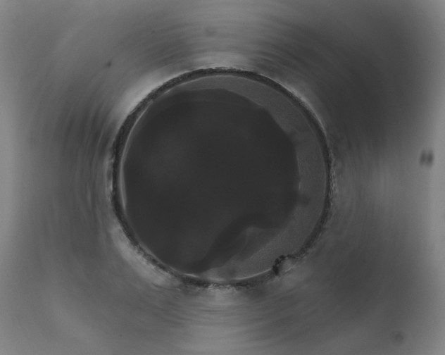 X0000111800983200907231206