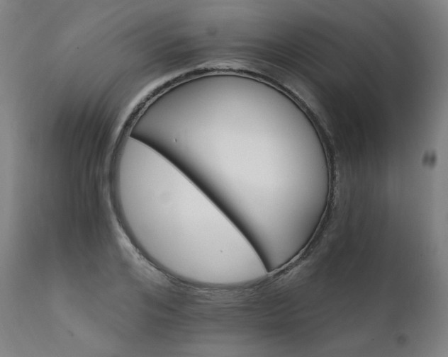 X0000111800984200907231206