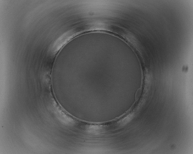 X0000111800985200907231206