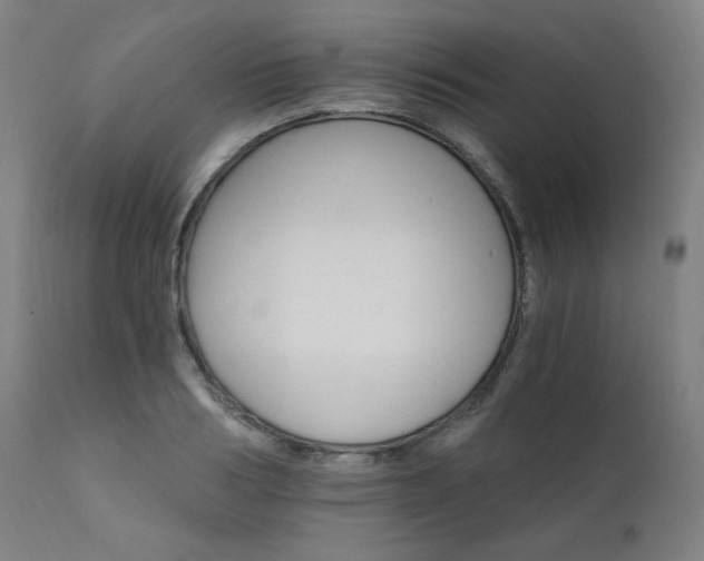 X0000111800986200907231206