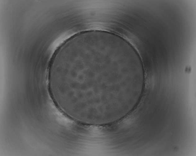 X0000111800987200907231206