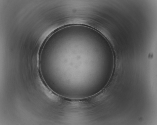 X0000111800988200907231206
