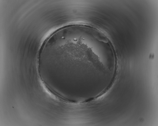 X0000111800989200907231206