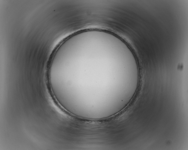 X0000111800991200907231206