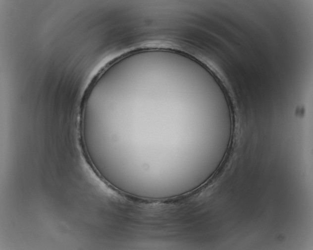 X0000111800992200907231206