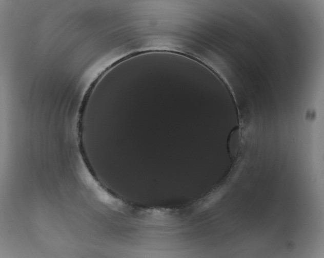 X0000111800995200907231205