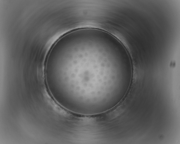 X0000111800996200907231205