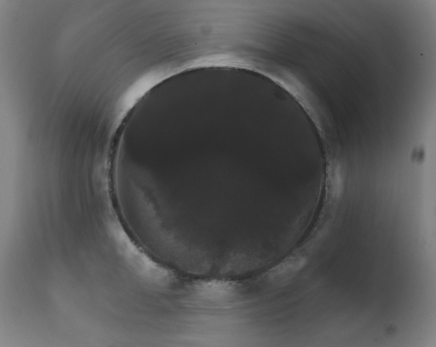 X0000111800998200907231205