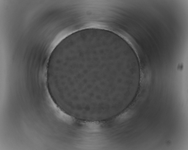 X0000111800999200907231205