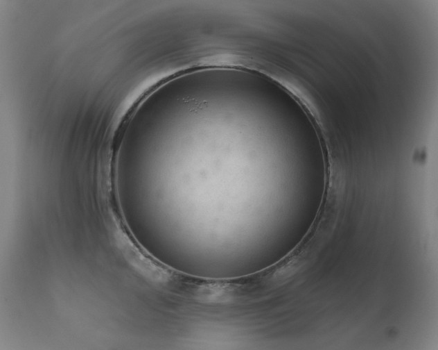 X0000111801000200907231205