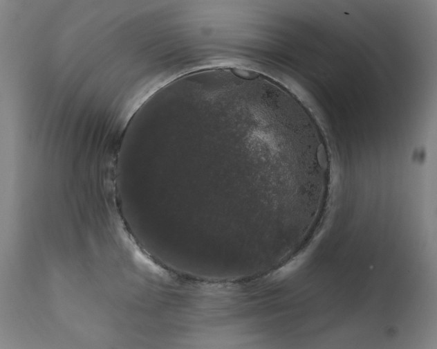 X0000111801001200907231205