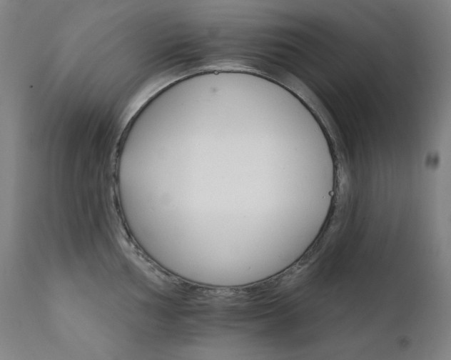 X0000111801002200907231205