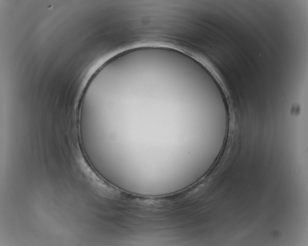X0000111801004200907231205