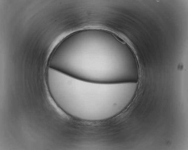 X0000111801005200907231205
