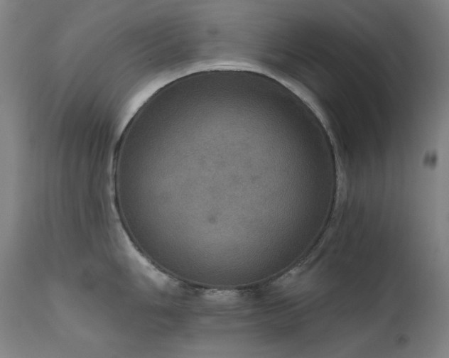 X0000111801006200907231205