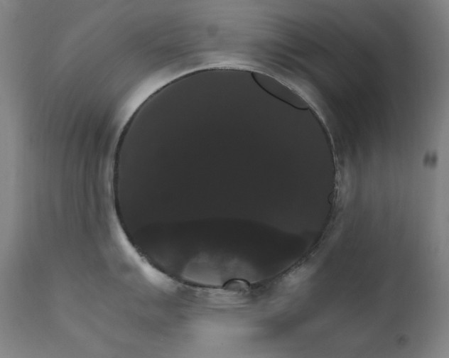 X0000111801007200907231205
