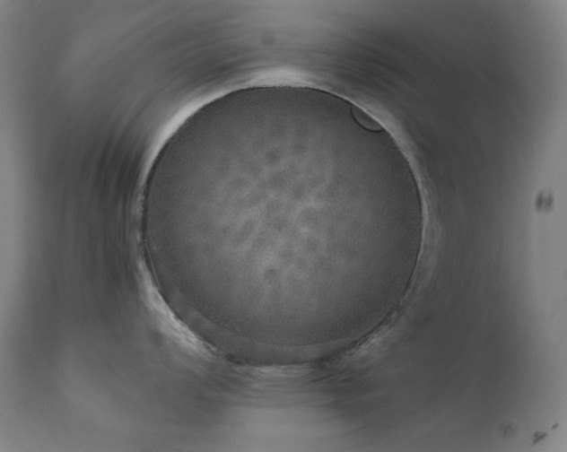 X0000111801008200907231205
