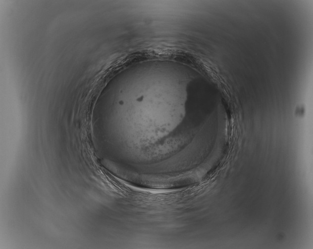 X0000111801009200907231204