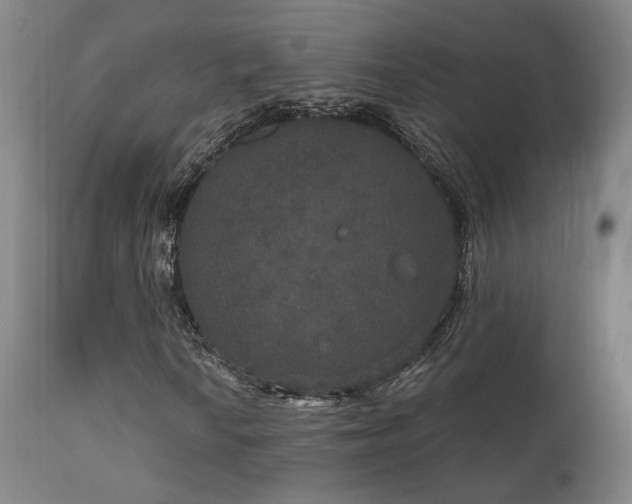 X0000111801010200907231204