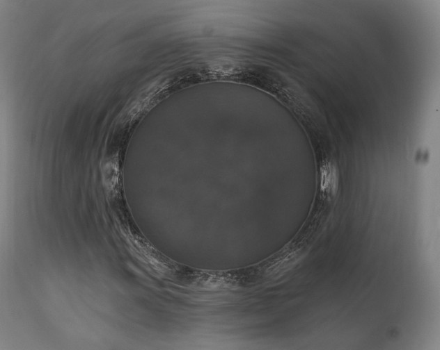 X0000111801011200907231204