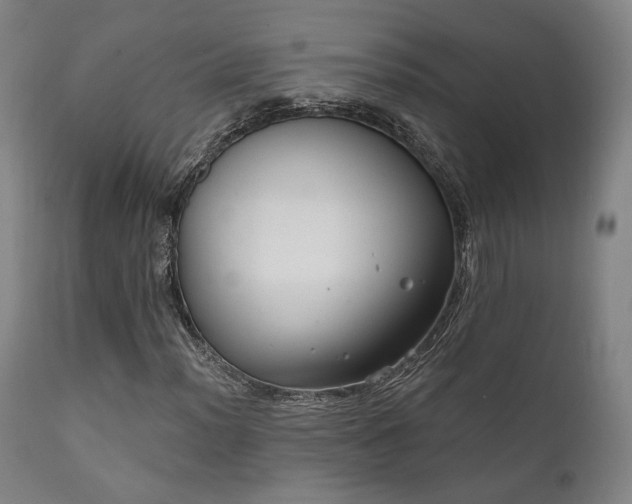 X0000111801012200907231204