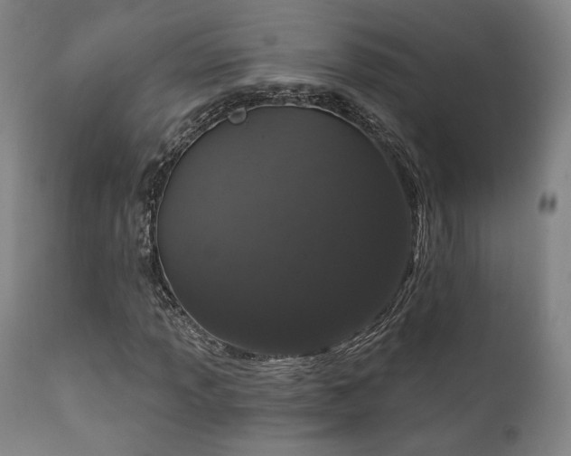 X0000111801013200907231205