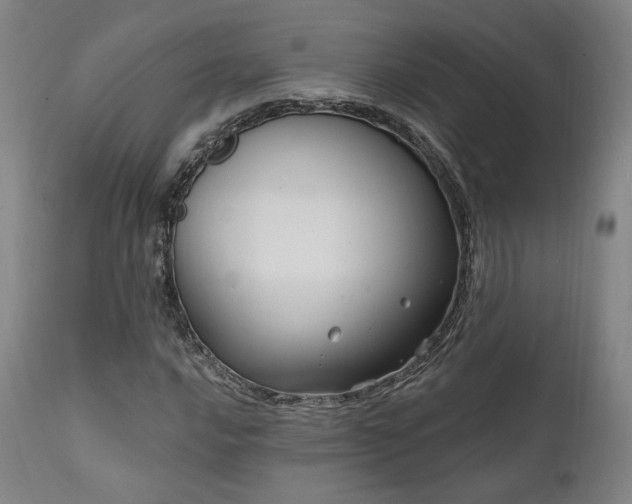 X0000111801016200907231205