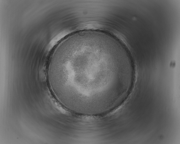 X0000111801018200907231205