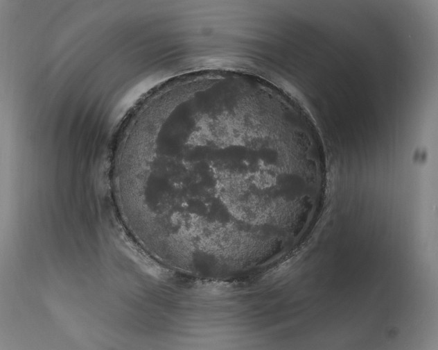 X0000111801019200907231205