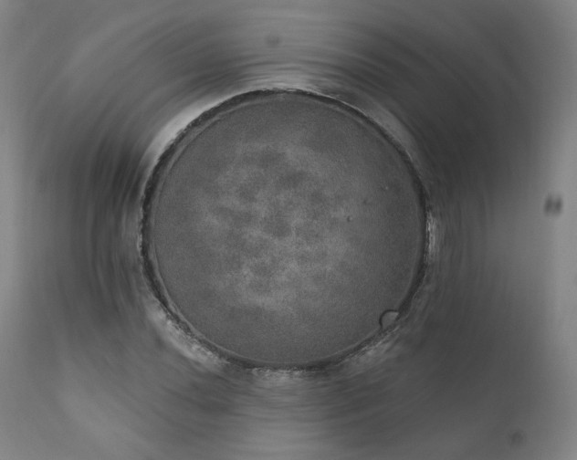 X0000111801020200907231205