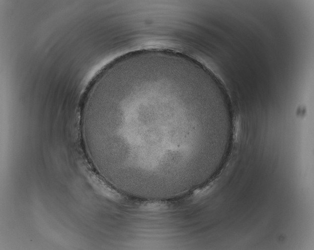 X0000111801021200907231205