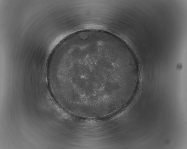 X0000111801022200907231205