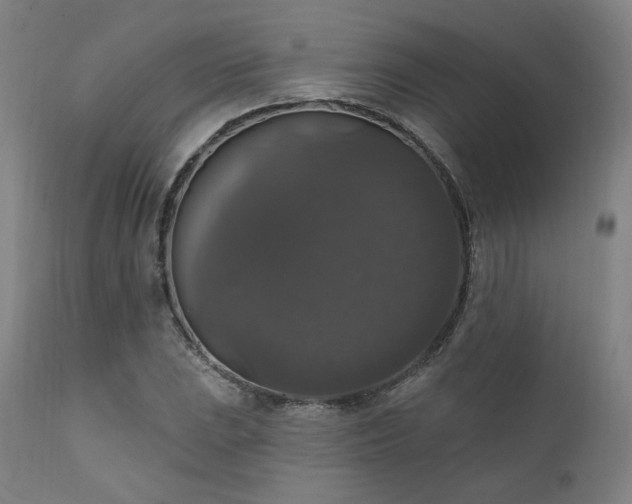 X0000111801023200907231205