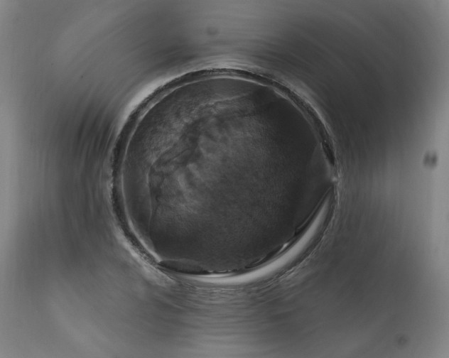 X0000111801024200907231205