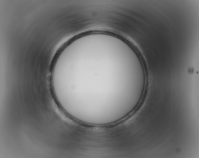 X0000111801029200907231205