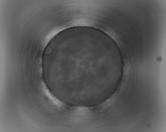 X0000111801030200907231205