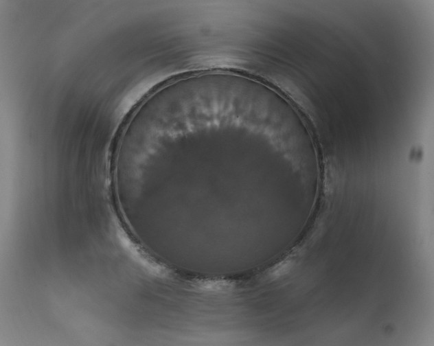 X0000111801031200907231205