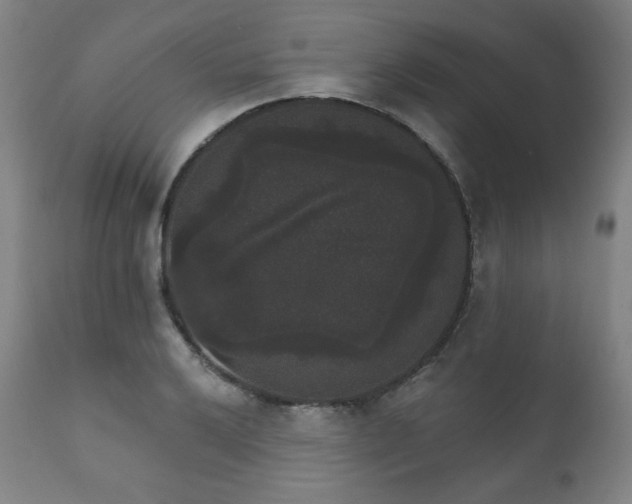 X0000111801032200907231205